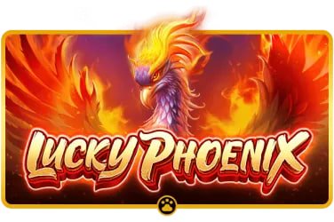 92pkr apk